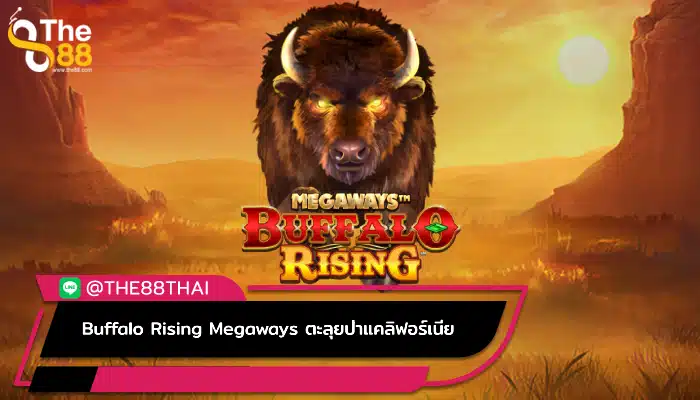 Buffalo Rising Megaways ตะลุยป่าแคลิฟอร์เนีย